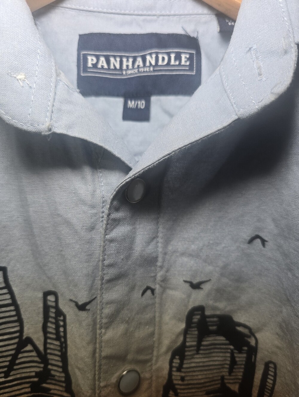 Panhandle Desert Scene Pearl Snap Button-Up. Cream & Light Blue Boys Sz M-10 - Picture 2 of 3